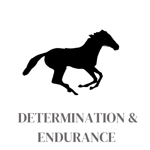 Determination &amp; Endurance