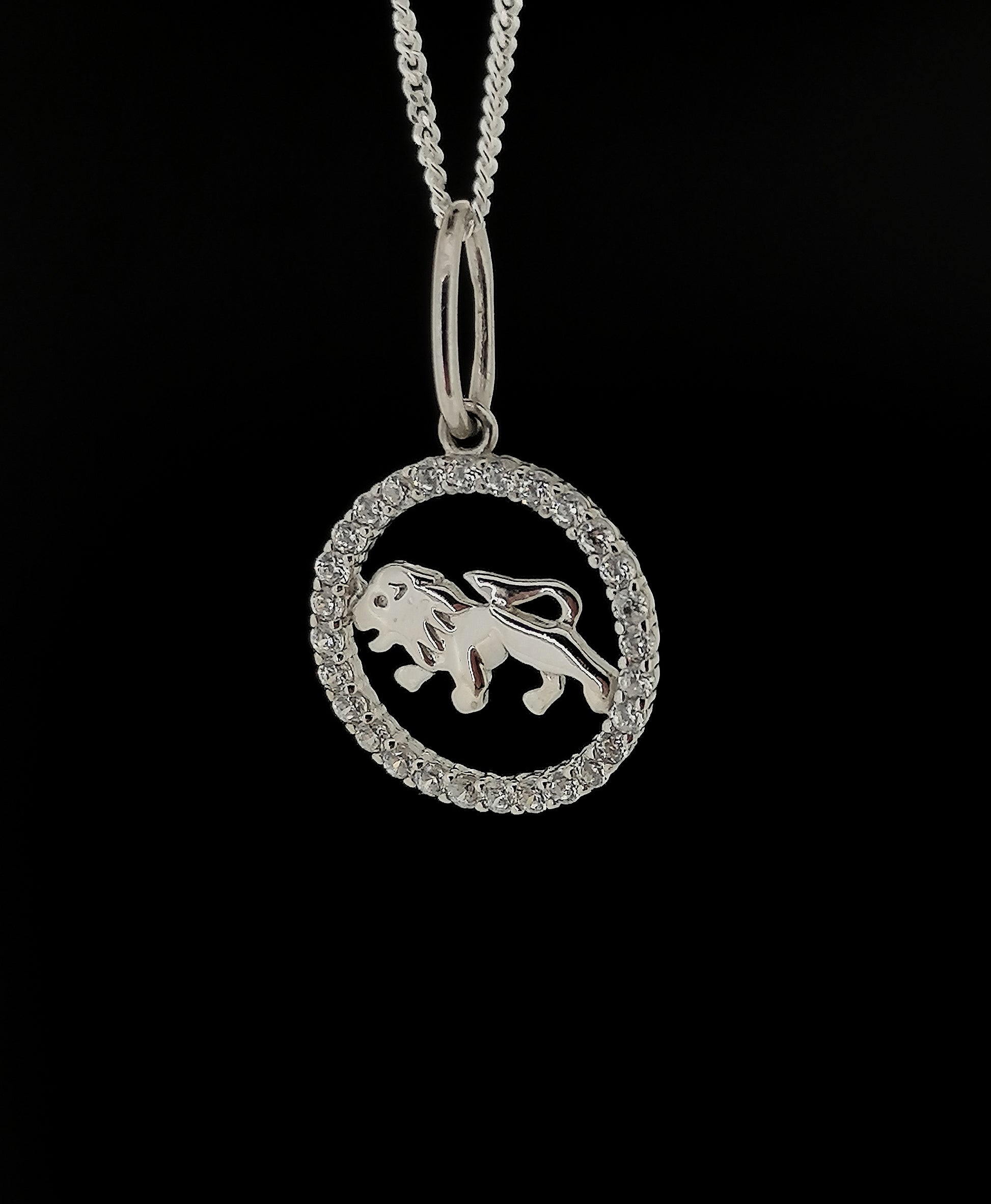 Women's Sterling Silver Leo Zodiac Star Sign Astrology Symbol Pendant Necklace July August 
